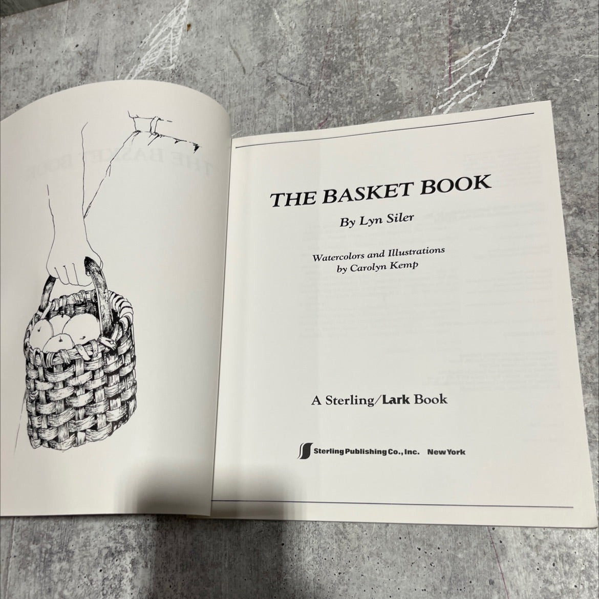 the basket book book, by lyn siler, 1988 Paperback